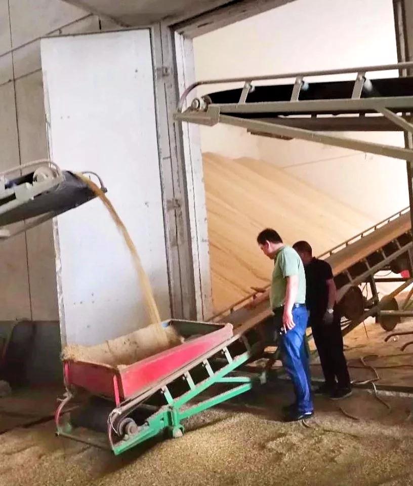 保證糧食收購(gòu)任務(wù) 保障國(guó)家糧食安全 隨后，謝四清一行還對(duì)入庫(kù)流程和倉(cāng)儲(chǔ)現(xiàn)場(chǎng)進(jìn)行了檢查