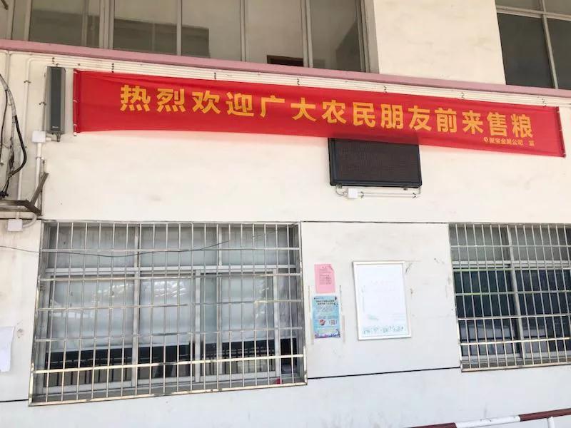 保證糧食收購(gòu)任務(wù) 保障國(guó)家糧食安全