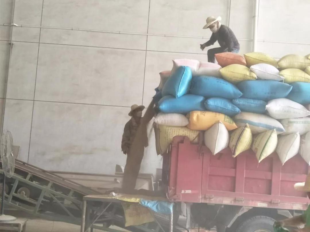 保證糧食收購(gòu)任務(wù) 保障國(guó)家糧食安全