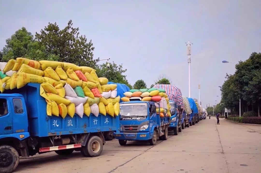 保證糧食收購(gòu)任務(wù) 保障國(guó)家糧食安全