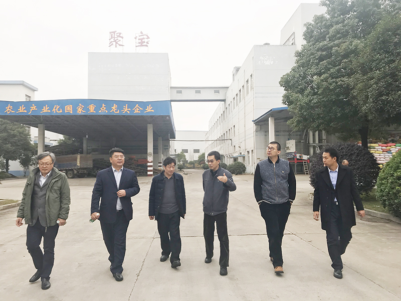 張成志：加快新項(xiàng)目建設(shè)步伐，促進(jìn)糧食產(chǎn)業(yè)經(jīng)濟(jì)發(fā)展