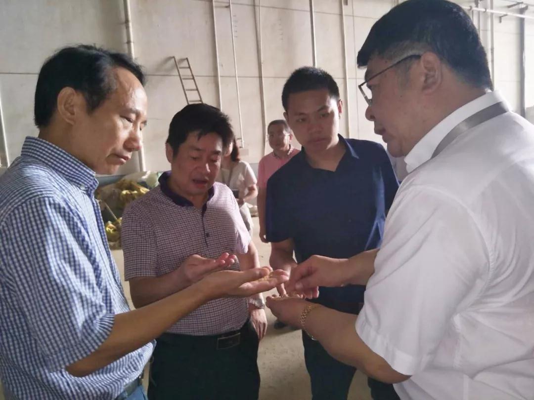 湘潭市政府副秘書長蘇國軍帶隊來我司督查早稻收購工作